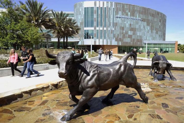 Read more about the article University of South Florida, 미국