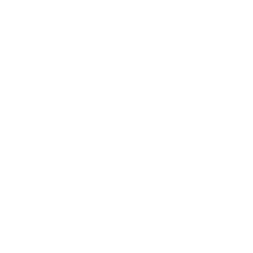 Security icon | Newline