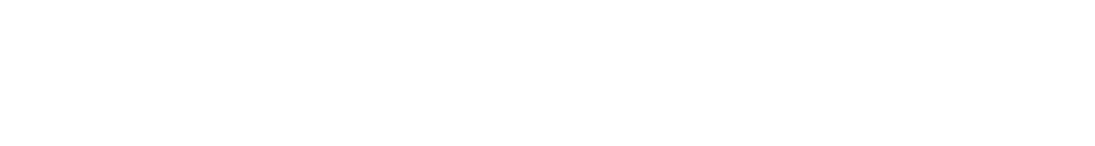 zoom logo white