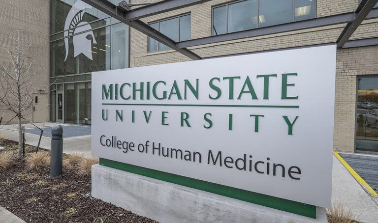 Read more about the article Michigan State University, USA