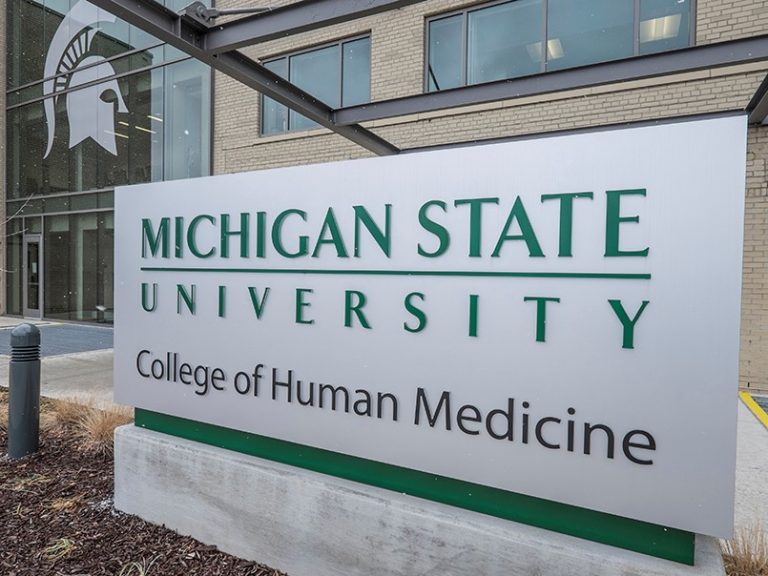 Read more about the article Michigan State University, USA