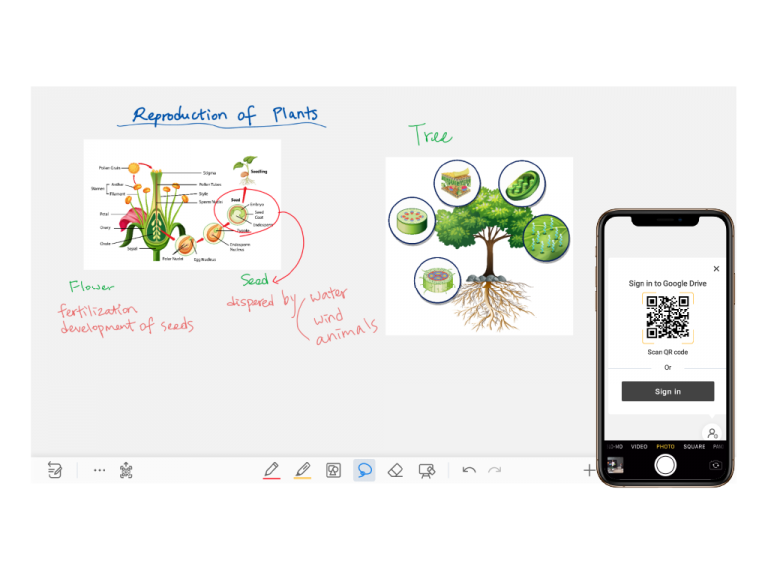Whiteboard Newline Whiteboard newline