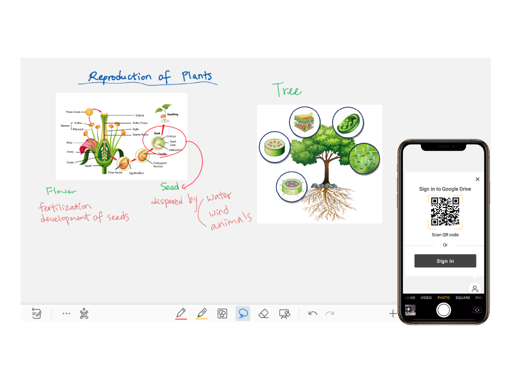 Newline Whiteboard_QRcode Exporting 2012